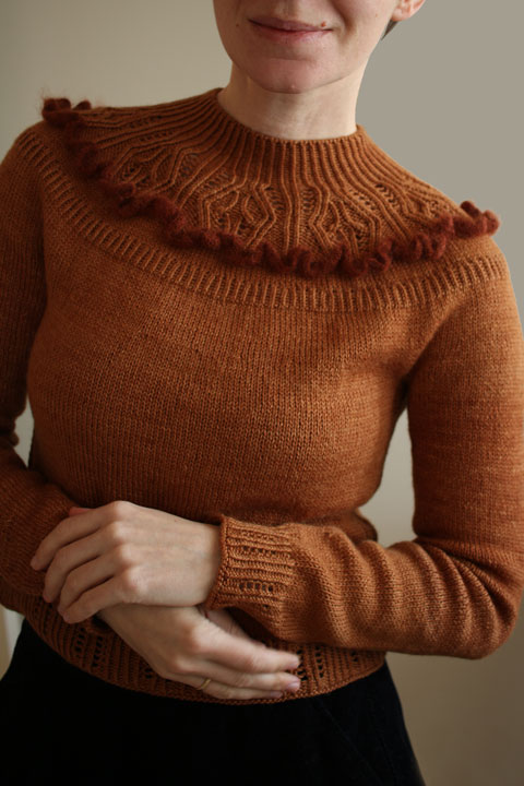 Parnassia pullover, Shangdrok