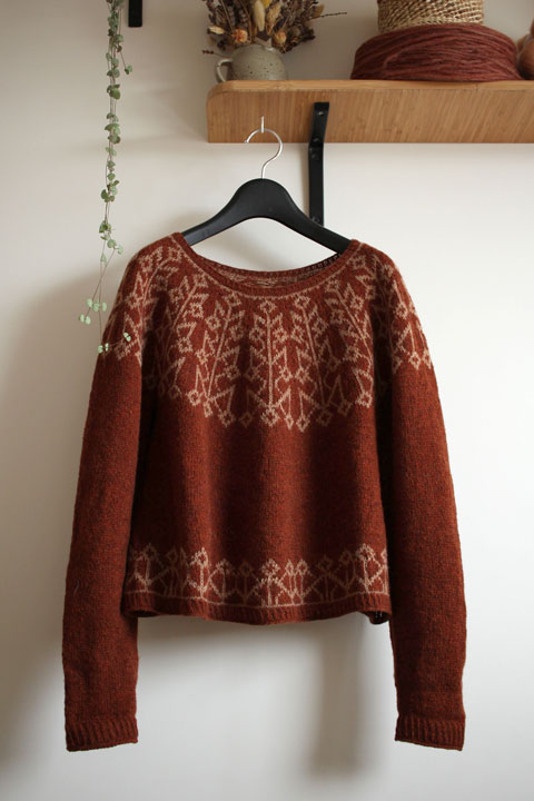 Pavuk pullover