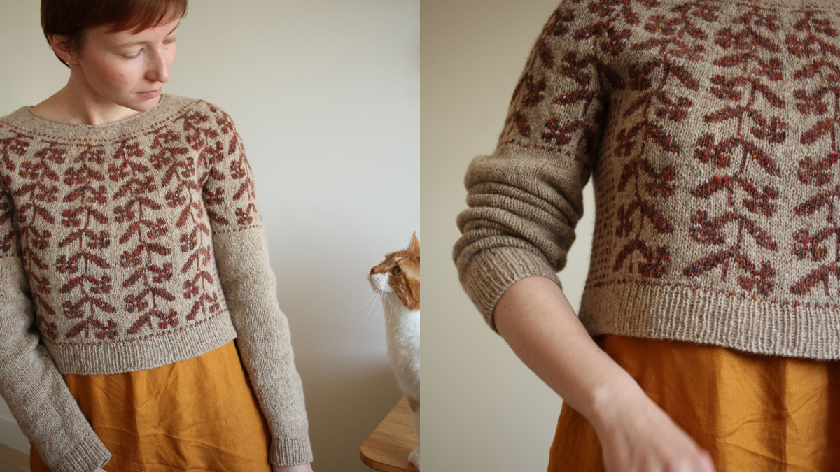 Knitting pattern Pictus pullover by Teti Lutsak