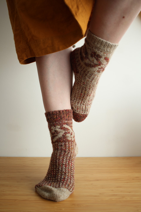 Pictus socks
